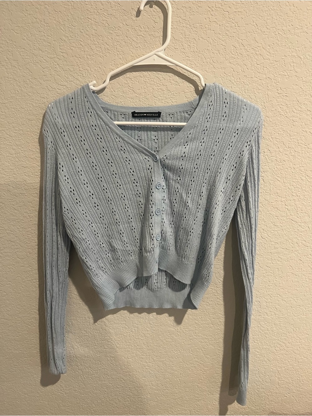 Brandy Melville Light Blue Eyelet Cropped Cardigan